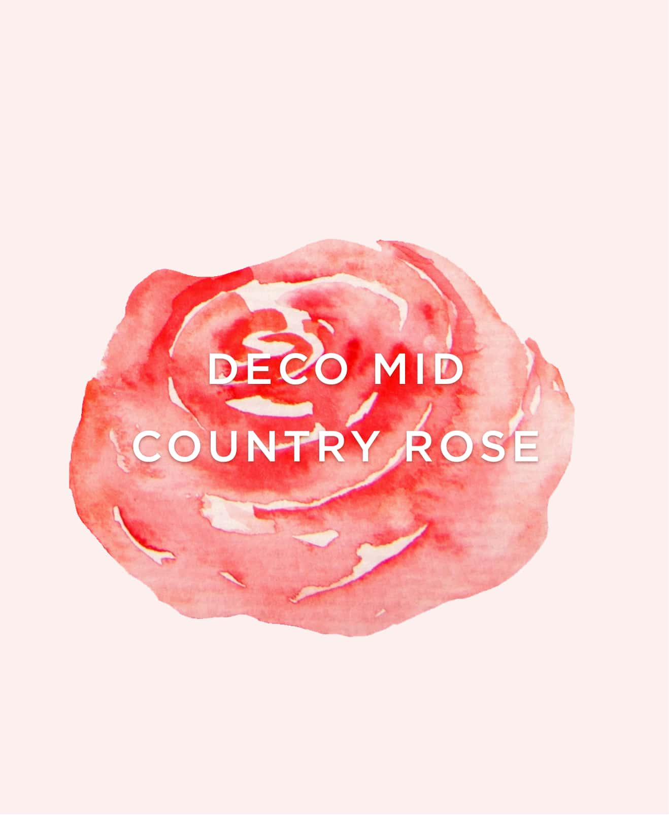 DECO MID COUNTRY ROSE