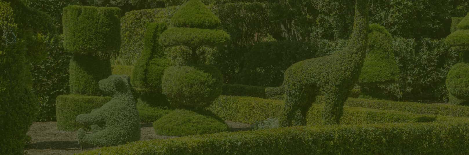 Topiary garden