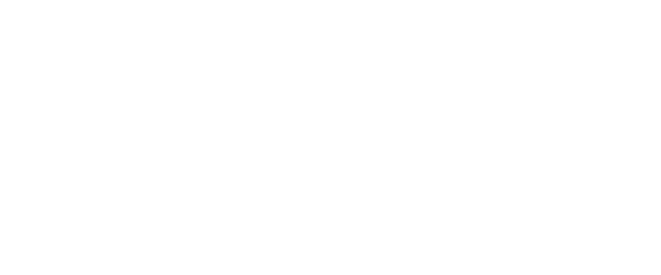 Holiday Exclusive