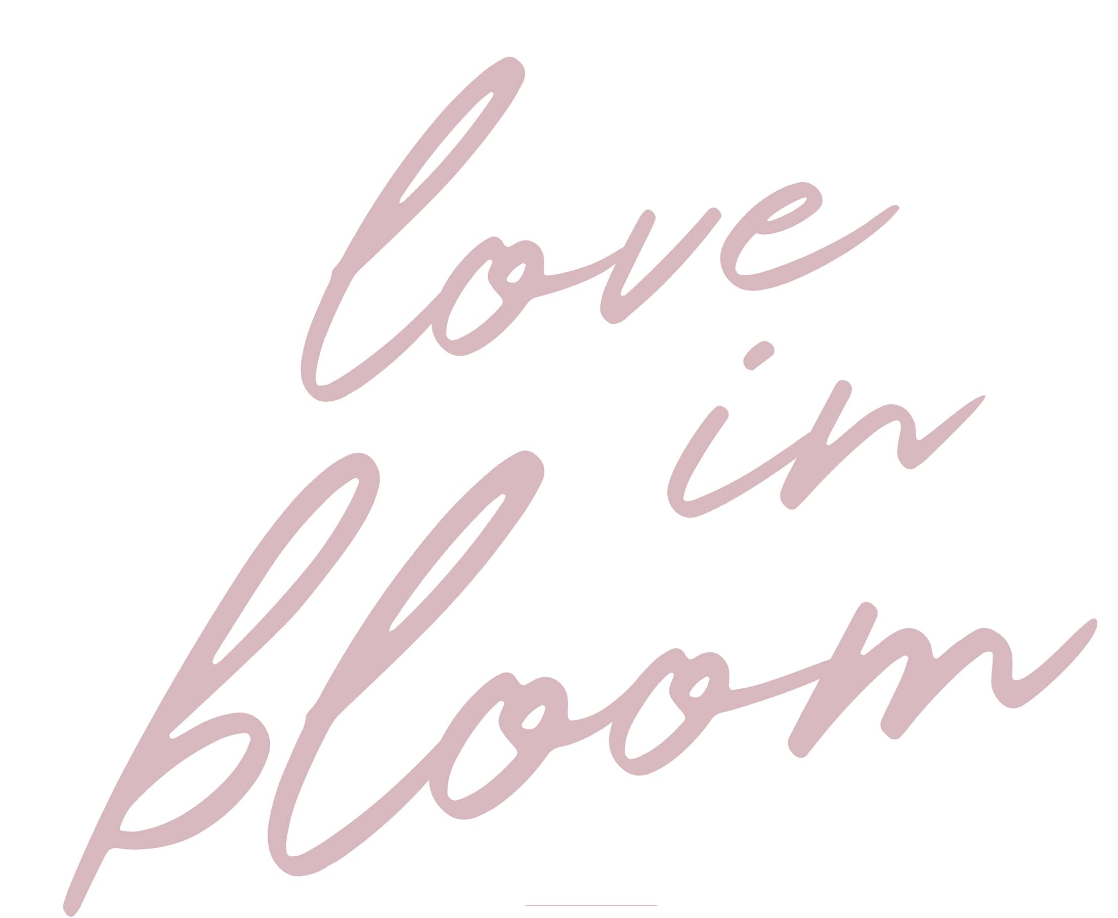 love in bloom