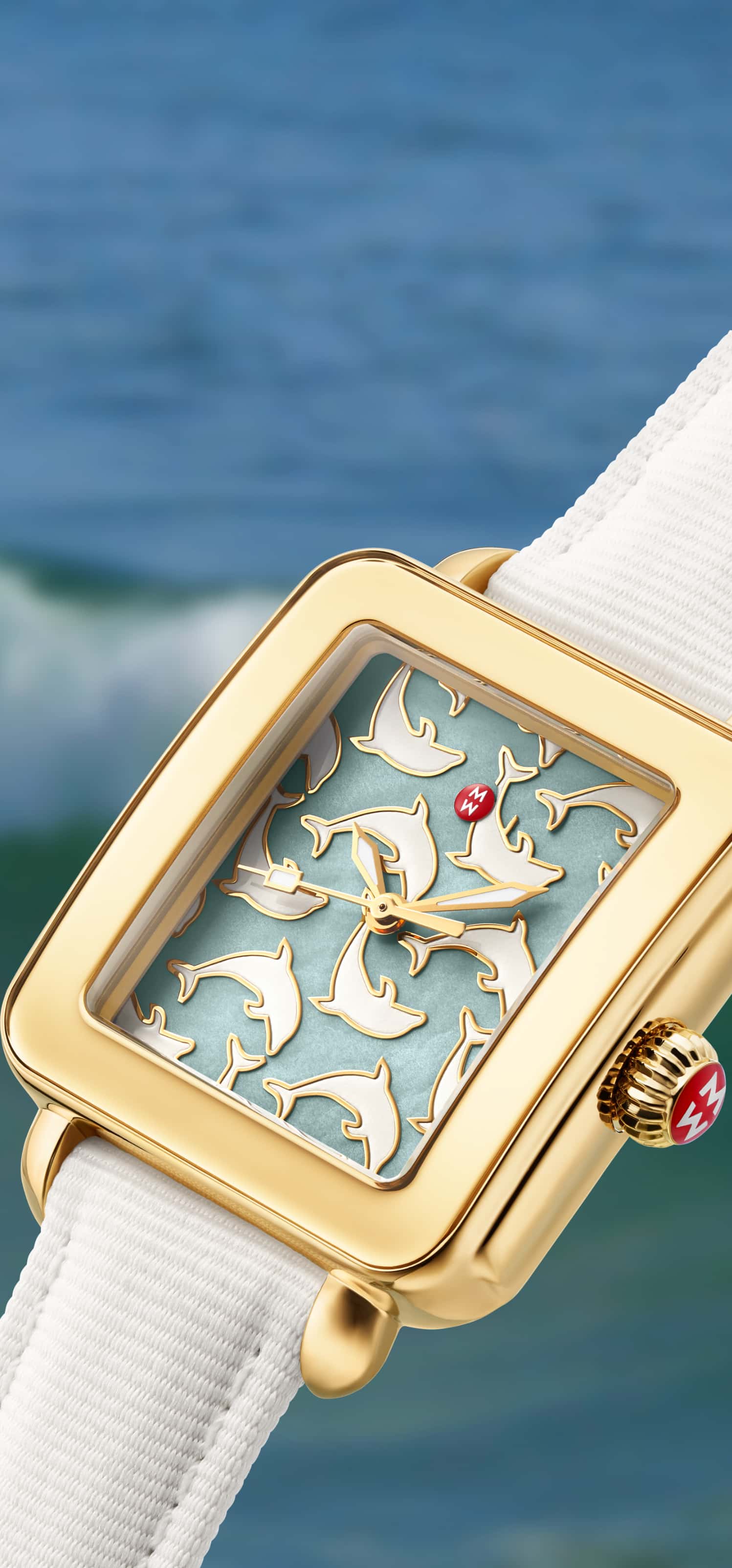 deco dolphin sustainable