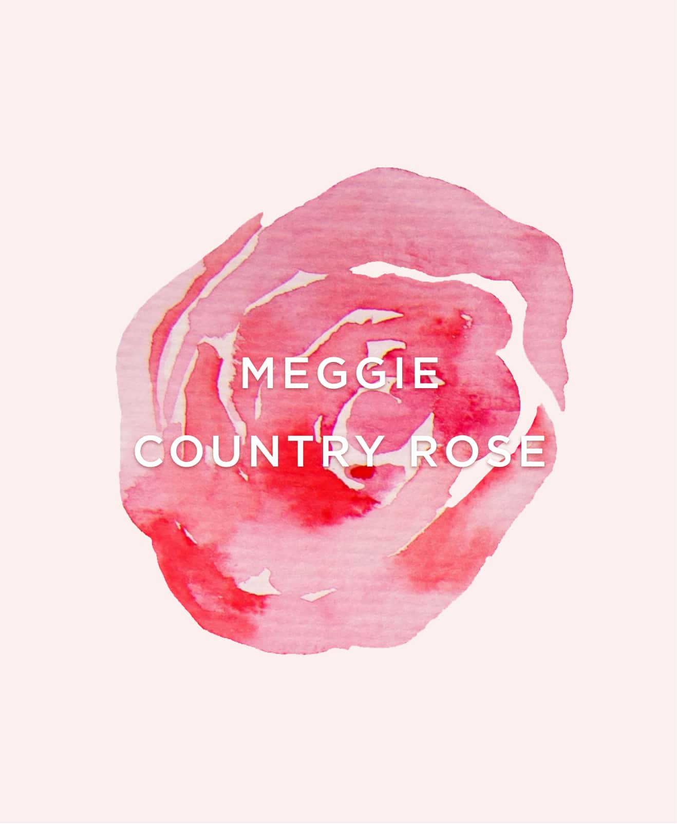 MEGGIE COUNTRY ROSE