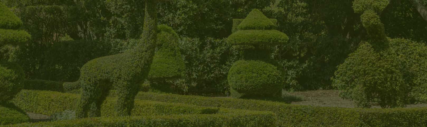 Topiary garden