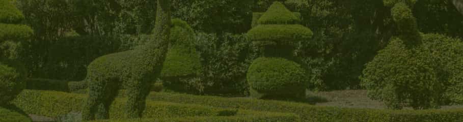 Topiary garden