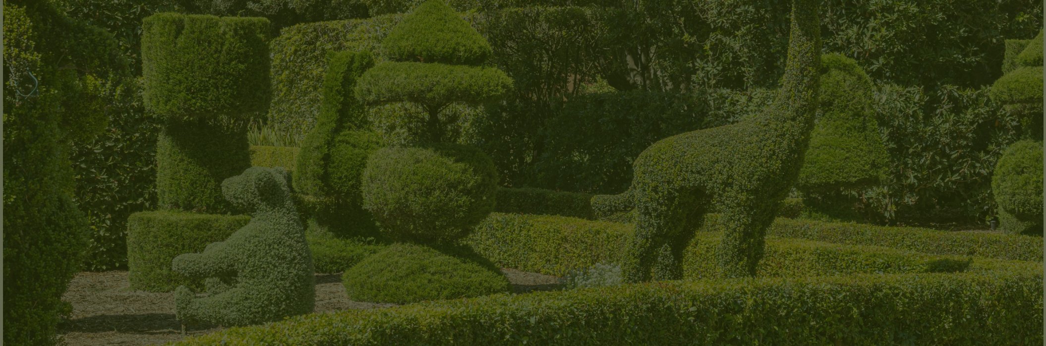 Topiary garden