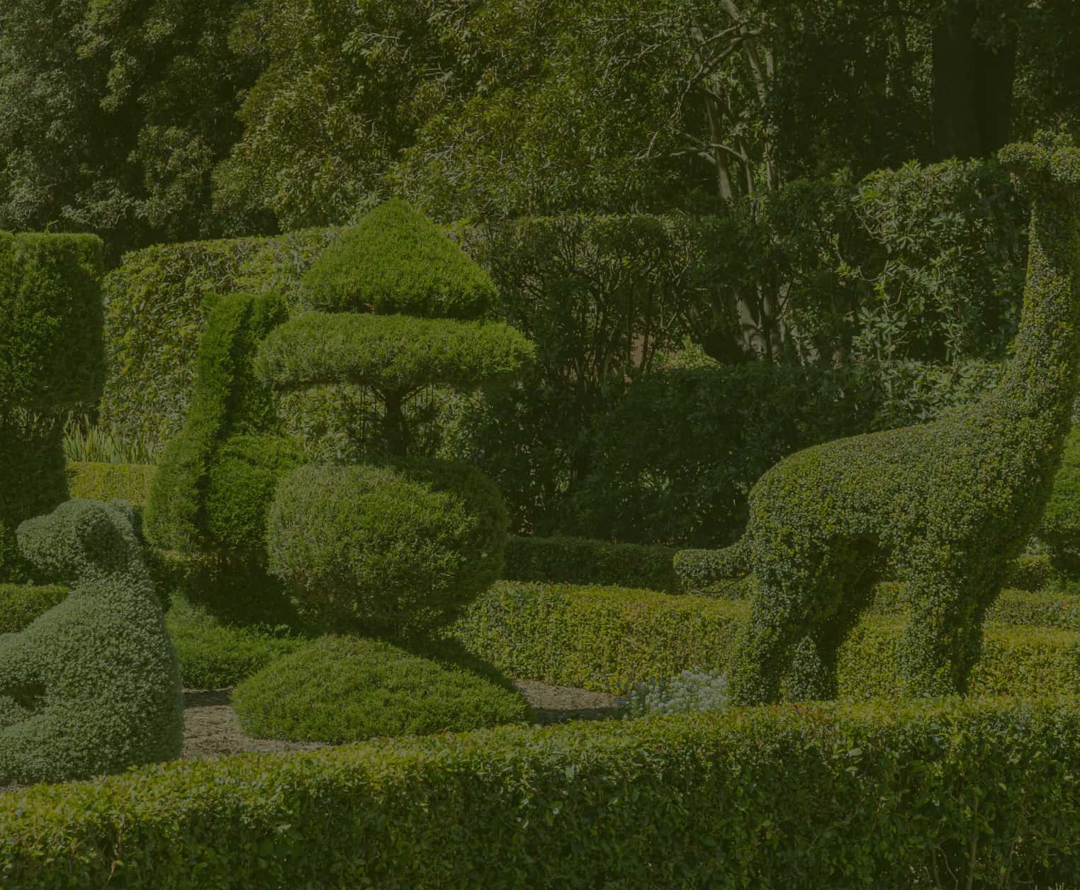 Topiary garden