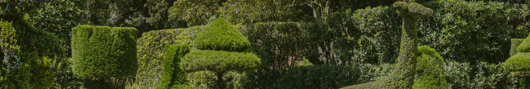 Topiary garden
